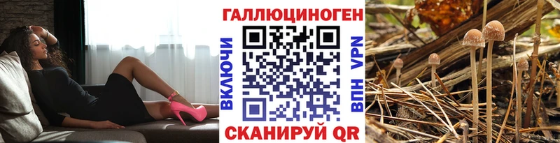 mega ссылка Тара Псилоцибиновые грибы GOLDEN TEACHER