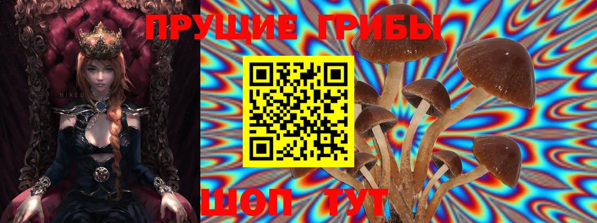 Псилоцибиновые грибы Psilocybine cubensis  Вход с VPN  Тара 