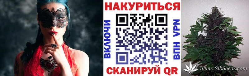 Бошки марихуана план Тара