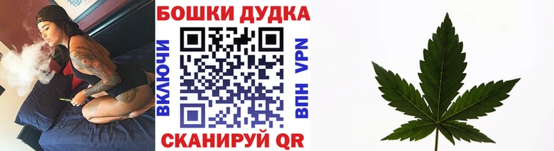 Бошки Шишки конопля  Тара 